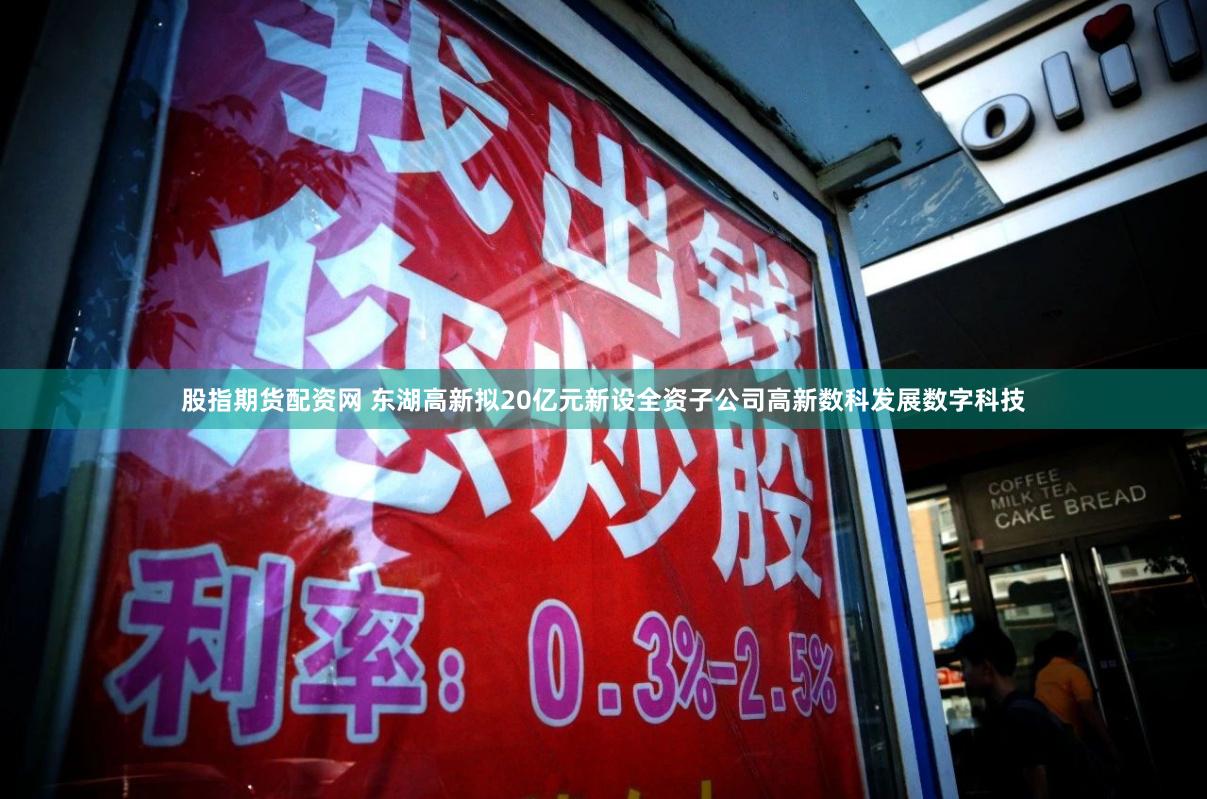 股指期货配资网 东湖高新拟20亿元新设全资子公司高新数科发展数字科技
