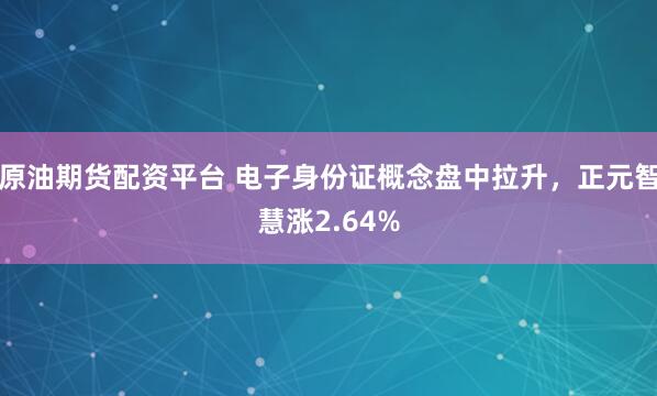 原油期货配资平台 电子身份证概念盘中拉升，正元智慧涨2.64%