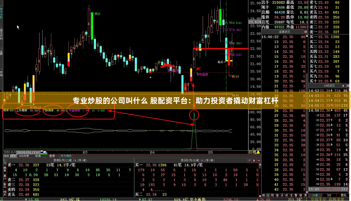 专业炒股的公司叫什么 股配资平台：助力投资者撬动财富杠杆
