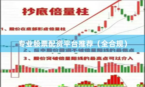 专业股票配资平台推荐（全合规）