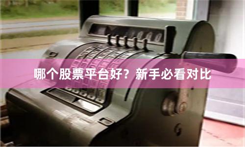 哪个股票平台好？新手必看对比